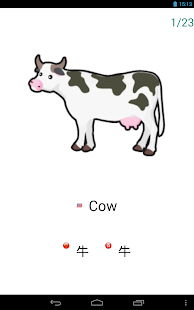 Lastest FlashCard APK