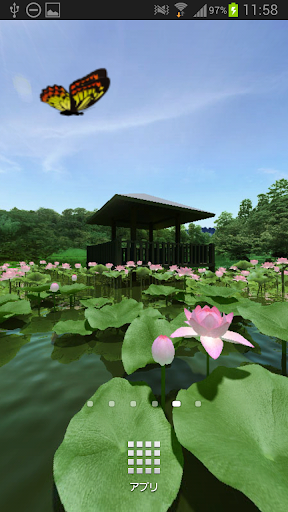 Lotus Pond 360°