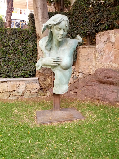 Busto en bronce