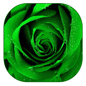 Green Rose Live Wallpaper.apk 1.3