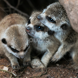 by Renos Hadjikyriacou -  