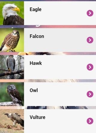 Animal Messages App Pro Screen 2