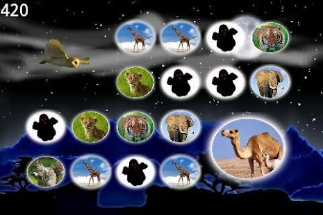 How to get Magic Owl lastet apk for bluestacks