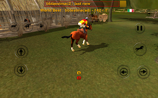 Show Jumping Two Country Race APK Screenshot #12