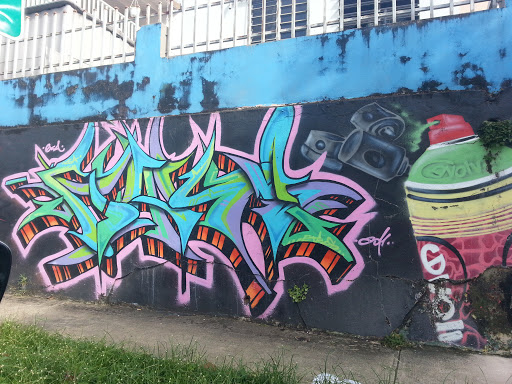 Rasta Y Colores Neones Wall Art