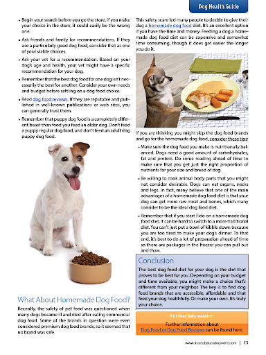 【免費新聞App】Sharda Bakers DogWorldMagazine-APP點子