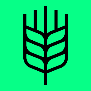Safe Gluten Free Travel logo