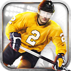 хоккей с шайбой 3D - IceHockey 2.0.2