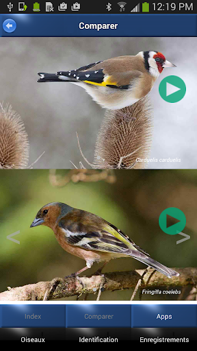 免費下載書籍APP|Oiseau Id: Oiseaux de France app開箱文|APP開箱王