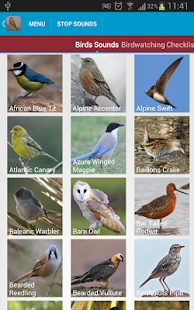 Spanish Birds Sounds(圖2)-速報App