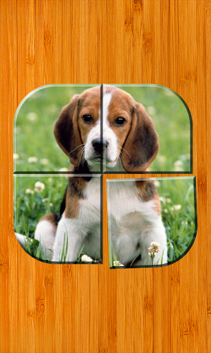 Best Dog Puzzle Games Free