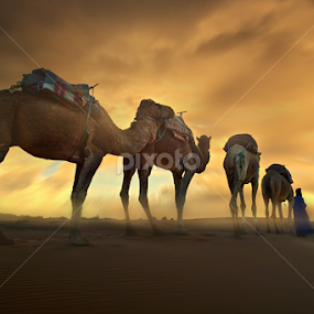 Hypnotic Desert II by Moussa Idrissi - Landscapes Deserts
