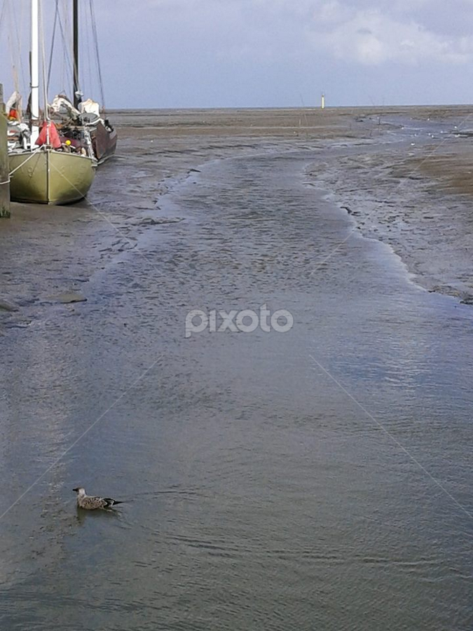 Texel by Evi Karagiorgou - Landscapes Beaches