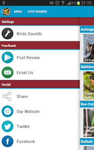 African Birds Sounds(圖8)-速報App