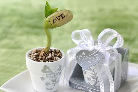 Wedding Favor Ideas(圖2)-速報App