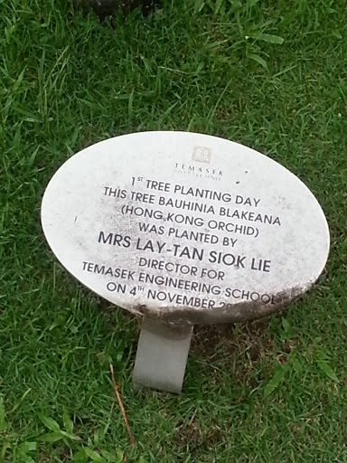 1st Tree Planting Day Plaque
