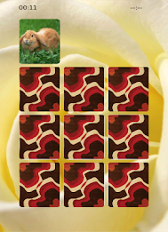 Bunny Matching poster 2