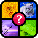 Cover Image of Download Guess the word ~ 4 pics 1 word 1.9 APK
