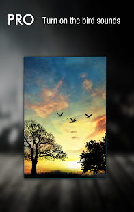 Sunset Hill Free LiveWallpaper(圖4)-速報App