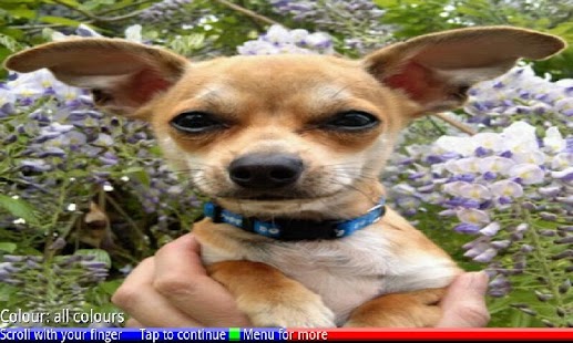 Puppies and Dogs 3 FREE - náhled