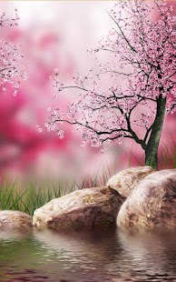 How to mod Sakura Live Wallpaper 3.0 unlimited apk for pc
