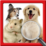 Cover Image of Download Zoom Out Animal 1.22 APK