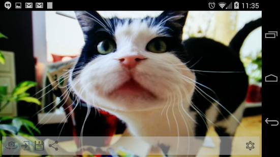 Funny Mirror Free(圖2)-速報App