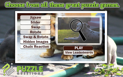 More Cute Puppy Puzzle Games