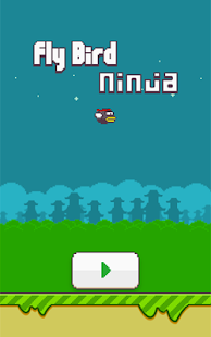 Fly Bird Ninja