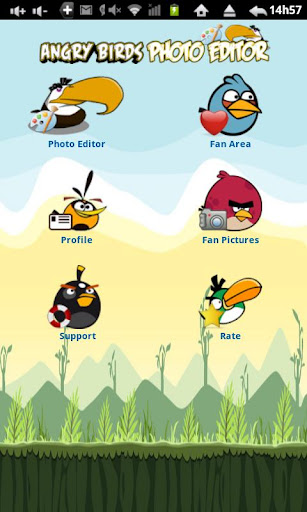 Angry Birds Photo Editor v2.11