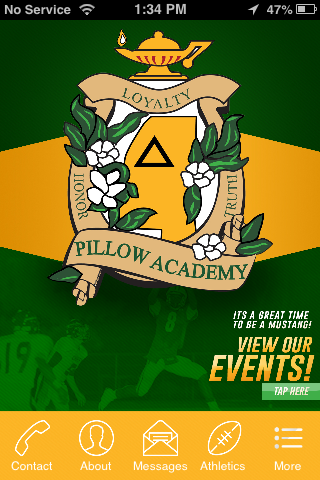 Pillow Academy