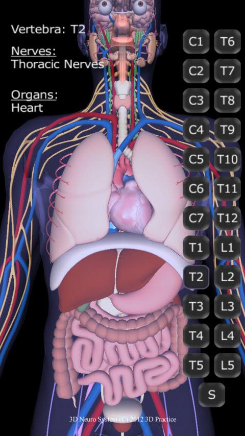 Android application 3D Neuro System screenshort