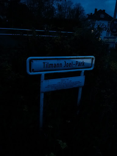 Tilmann Joel Park