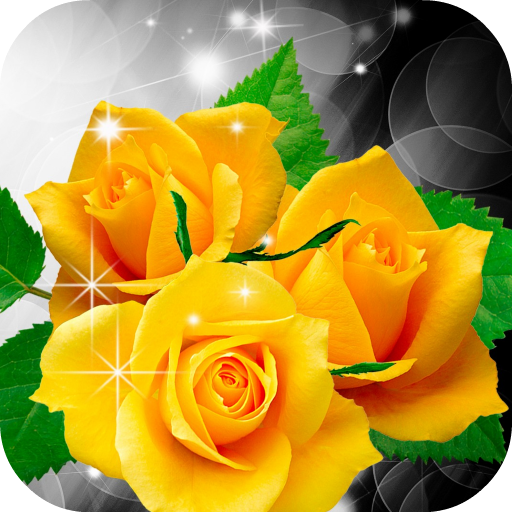 Yellow Roses Live Wallpaper LOGO-APP點子