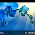 Blue Orchid Flower Wallpaper