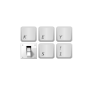 Switch Keys logo