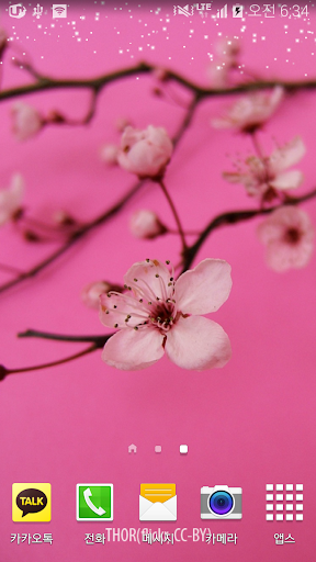 진한핑크벚꽃배경