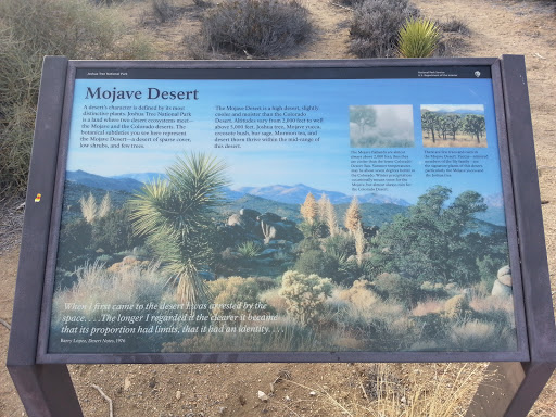 Education Plaque - Mojave Desert