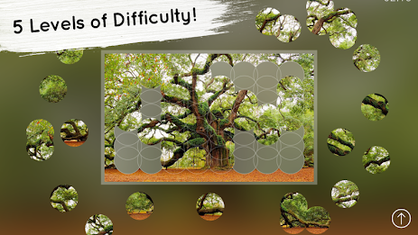 Venn Trees: Circle Jigsaw poster 4