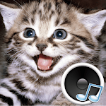 Cover Image of Unduh Suara binatang. Belajar tentang binatang dan bermain. 3.0.2 APK