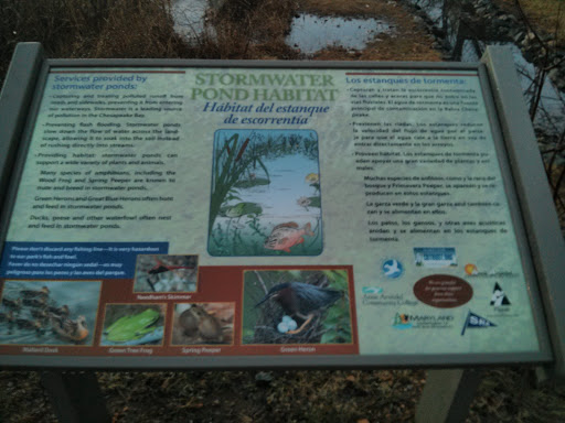 Storm Water Pond Habitat 