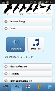 ЭкоГид: Птицы России - Голоса, Фото и Определитель(圖6)-速報App