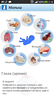 Я беременна(圖4)-速報App