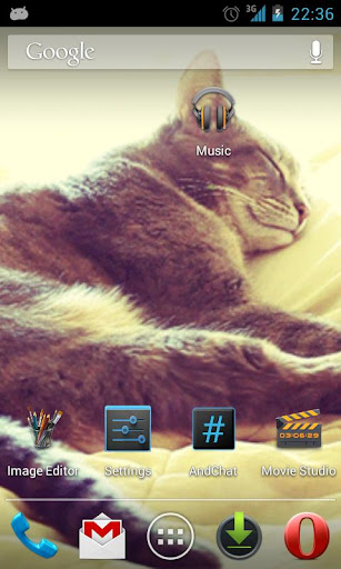 Sleeping Cat Live Wallpaper