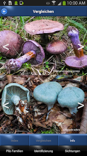 Pilz Id, Die Pilze Sammeln App(圖4)-速報App