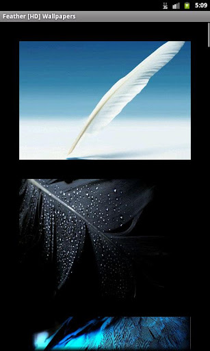 【免費個人化App】Feather [HD] Wallpapers-APP點子