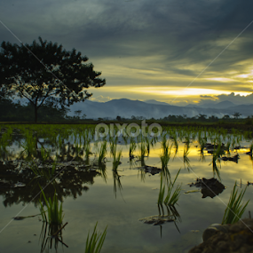 A sunset at Bojongkunci, South Bandung by Taufique Rahman - Landscapes Sunsets & Sunrises