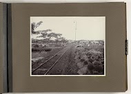 Padiedroogemplacement