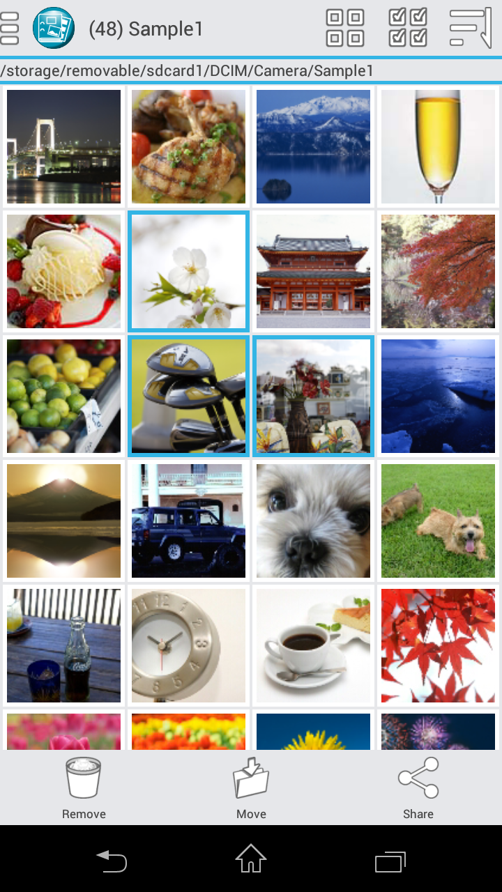 Photo Organizer Ad-Free Screen 3
