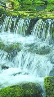 Green Stream HD Video Free Screenshots 1